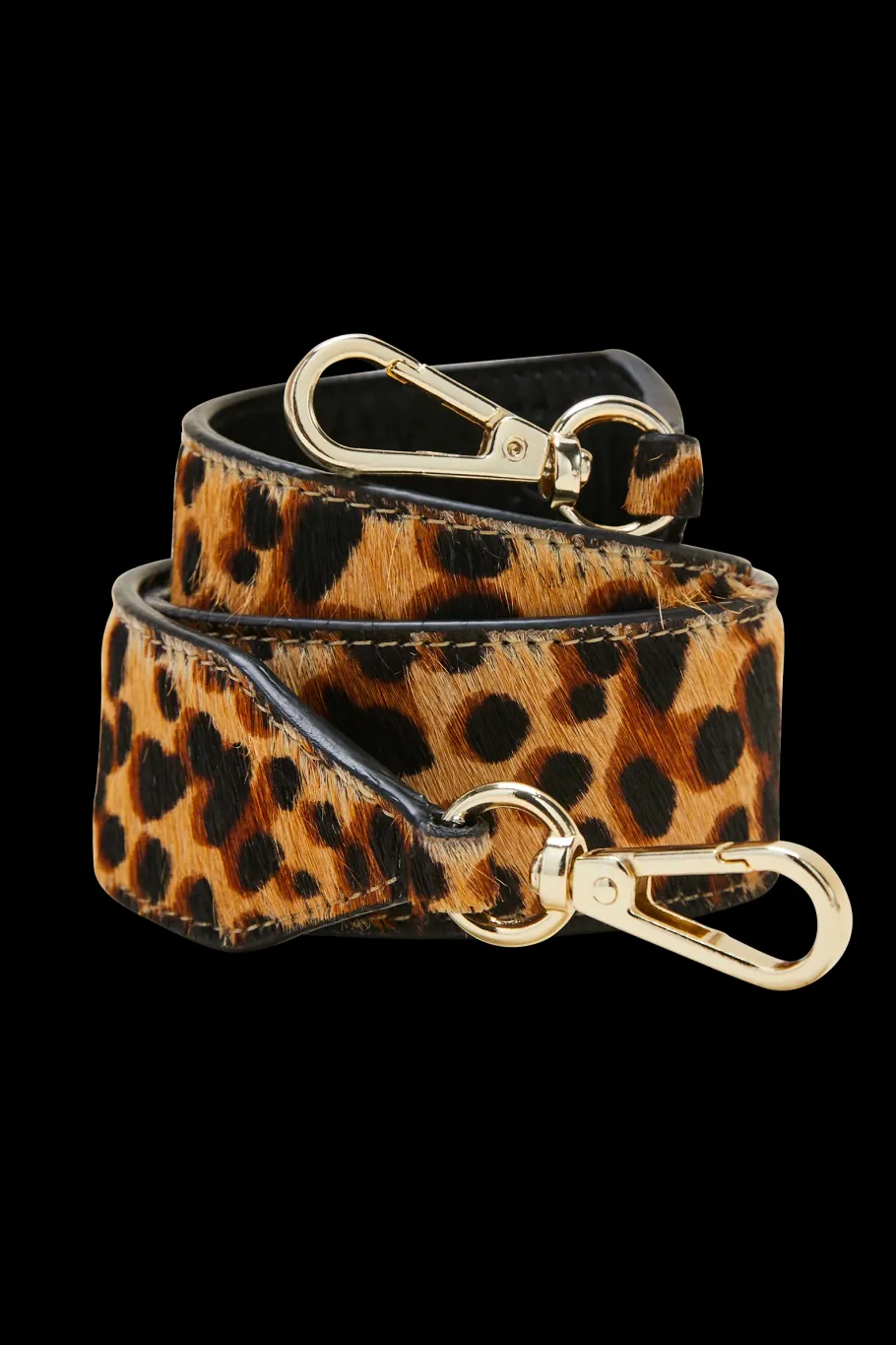 Anses|Balzac Anse Cesar Leopard